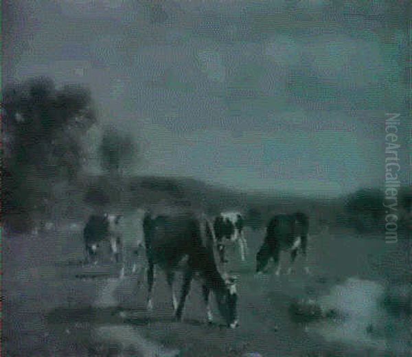 Grazing Cattle - view 1