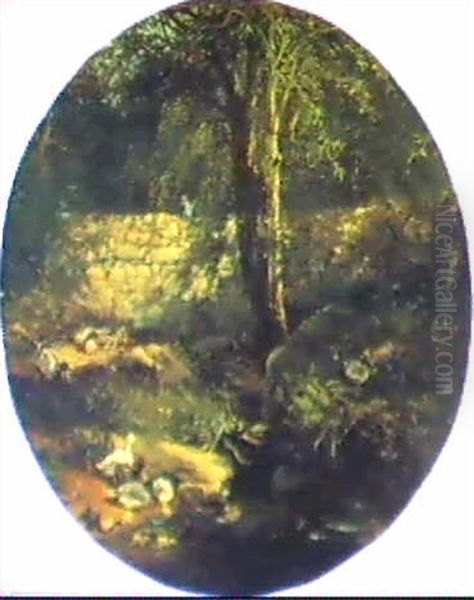 Ducks - view 1