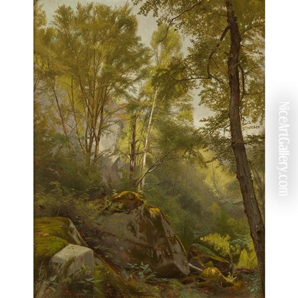 Woodland Scene - view 1