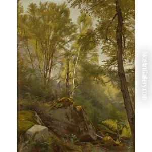 Woodland Scene Woodland Scene