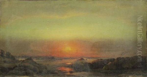 Coastal Landscape - view 1
