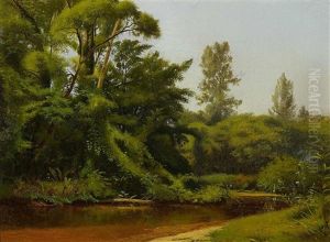 A Tranquil River Scene