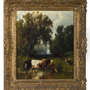 Cattle By A Forest Stream