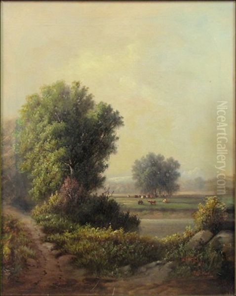 Cows In The Distance - view 1