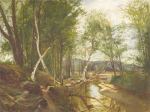 Birch Trees By A Tributary