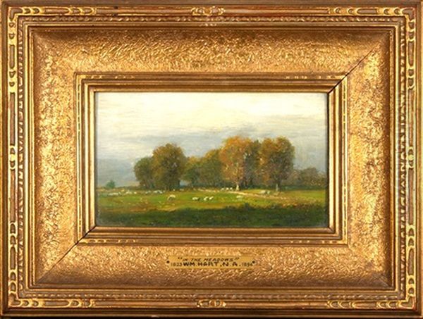 In The Meadow - view 1
