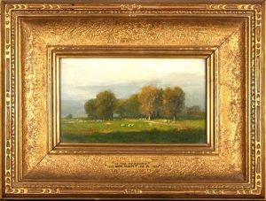 In The Meadow In The Meadow
