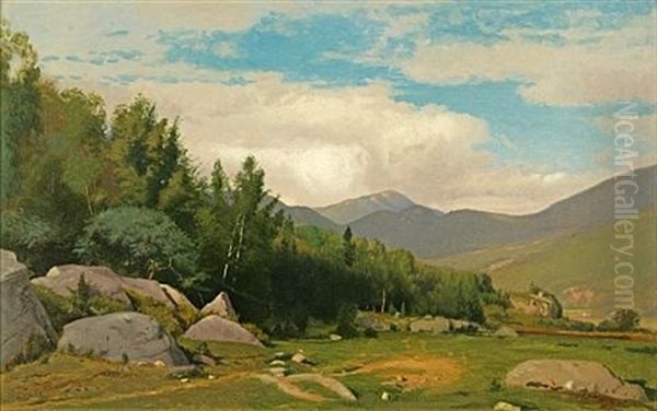 Scene In The White Mountains - view 1