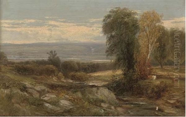 Cattle Grazing In An Extensive Landscape - view 1