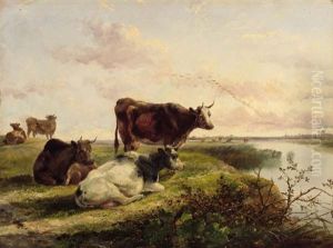 Cattle On A Riverbank Cattle On A Riverbank