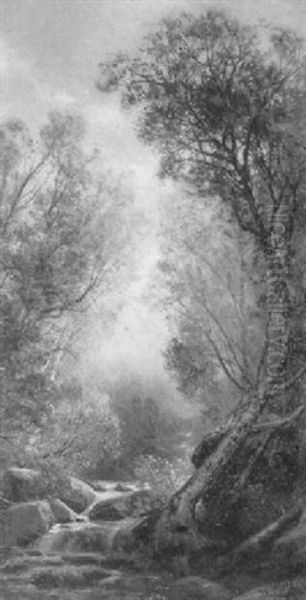 A Forest Stream - view 1