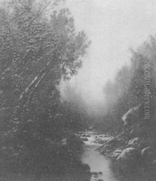 River View - view 1