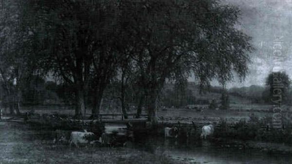 Cattle Watering In The Pasture Stream - view 1