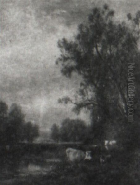 Cows Watering In A Stream - view 1