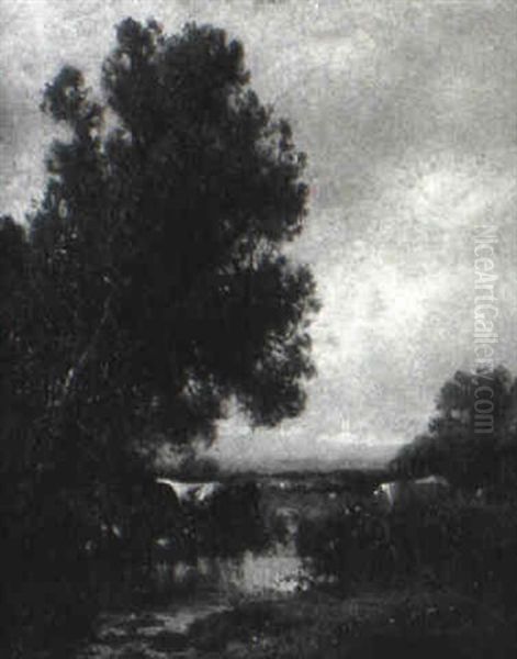 Cattle Watering In A Stream - view 1