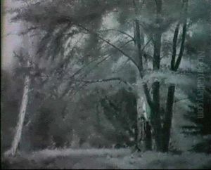 Forest Landscape Forest Landscape