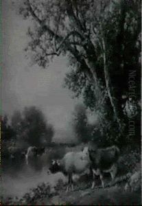 Cows Watering By A River Cows Watering By A River