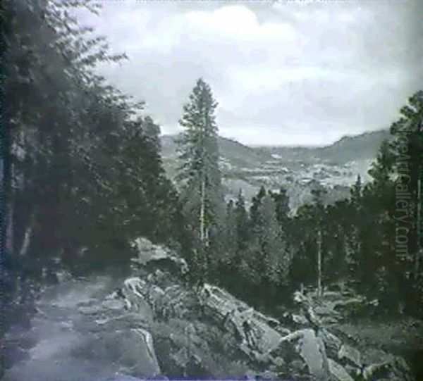 Craigy Barns - view 1