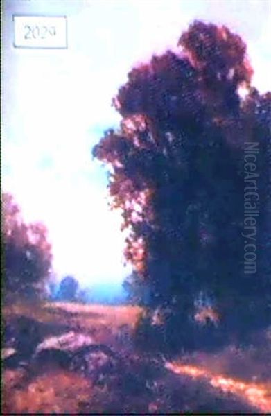 Wooded Landscape - view 1
