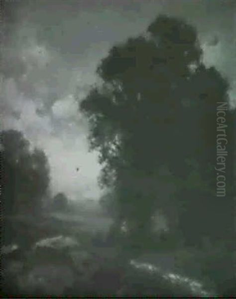 Wooded Landscape - view 1