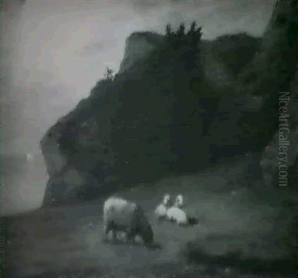 Sheep Grazing Along The Coast - view 1