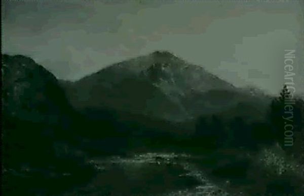 Cows Wading - view 1