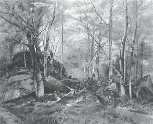 Wooded Glen - view 1