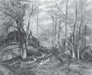 Wooded Glen Wooded Glen