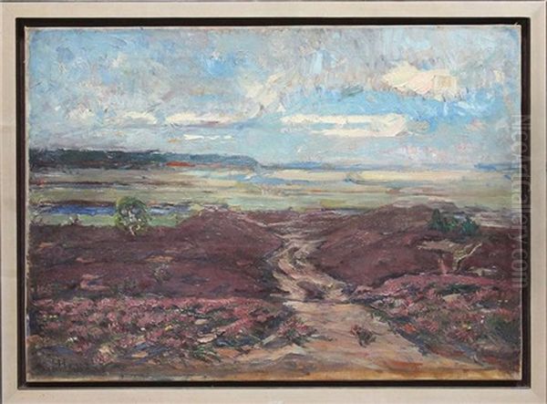 Munkmarsch (sylt) - view 1