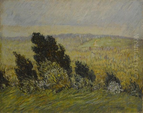 The Cedar Hedge (spring Breezes And Rains) - view 1