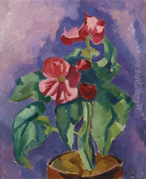 Pink Begonias (still Life: Pink Begonia) - view 1