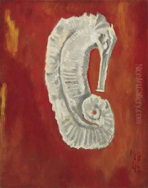 White Sea Horse - view 1