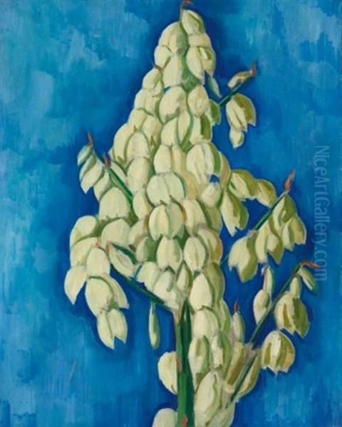 White Yucca - view 1