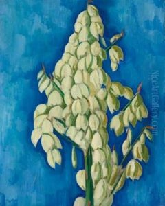 White Yucca White Yucca
