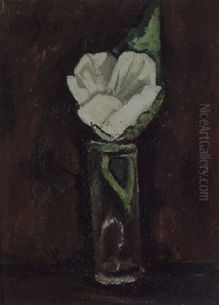 White Hibiscus - view 1