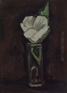 White Hibiscus
