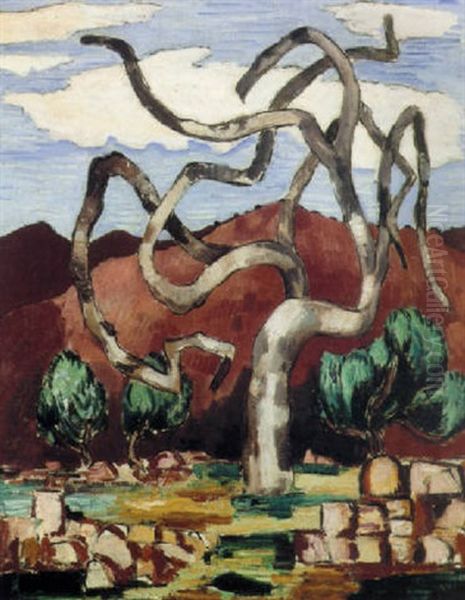 Fig Tree In Winter, Provence - view 1