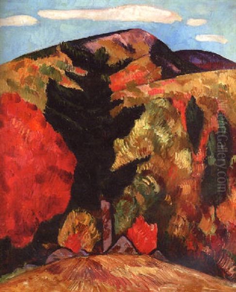 New Hampshire Autumn Landscape - Hills And Trees - view 1