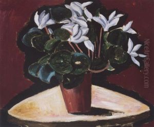 Cyclamen Cyclamen