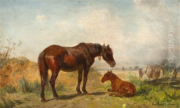 Stute Mit Ihrem Fohlen Auf Der Weide - view 1