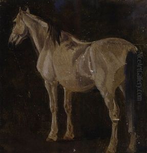 Stehender Schimmel Stehender Schimmel