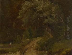 Waldweg Waldweg