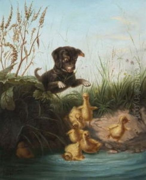 Junger Hund Mit Kuken Am Ufer - view 1