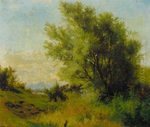 Landschaft Mit Weide, Schilf Und Wiesen Im Voralpenland Landschaft Mit Weide, Schilf Und Wiesen Im Voralpenland