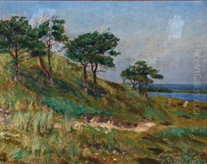Cliff With Windswept Trees, Guldborgsund by Oluf Hartmann