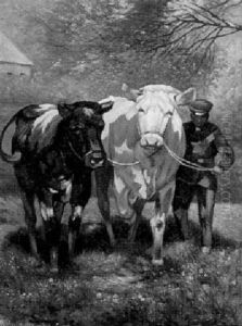 Bauer Mit Zwei Ochsen by Richard Hartmann