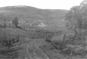 Hillside Pasture