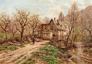 Obstbaumblute In Einem Tal Am Rhein
