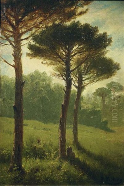 Fohrenwiese - view 1