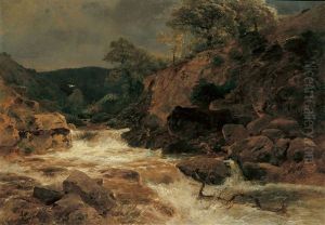 Flusslandschaft Mit Stromschnellen